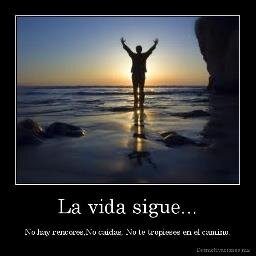 la vidaaa sigueeee