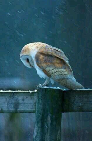 Leaving the world of Twitter!