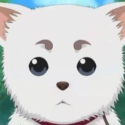 GINTAMCABREADOS's profile picture. ZURA JANAI, GINTAMARDS DA! SOMOS EXPERTOS EN TROLLEADAS