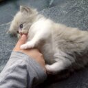 soso (@05561A) Twitter