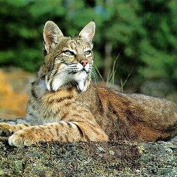 CowanFundamenta's profile picture. We are a Fundamental Elementary School in Sacramento, Ca. a place where there is consistency of standards and expectations.