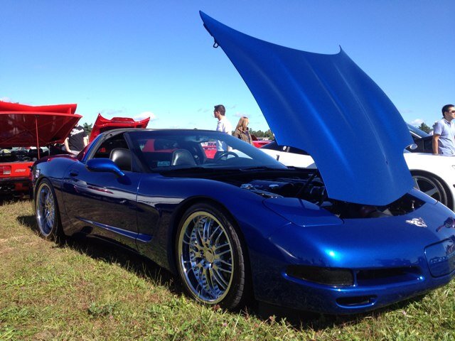 BradSears's profile picture. 