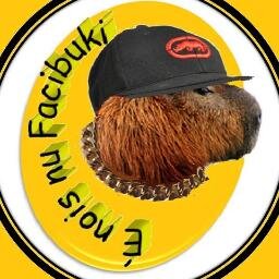 @ClubeFollowBack