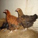 mouhamed camara - @doudou_camara - Twitter