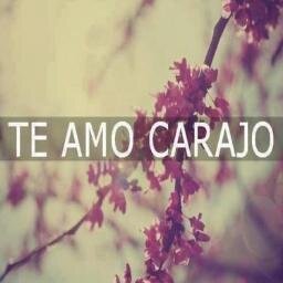 Soy Directioner∞ & Quee?