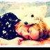 marta hazas (@martahazas) Twitter profile photo marta hazas (@martahazas) Twitter profile photo