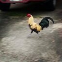 Paula Espino - @pjespino - Twitter