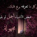 krech (@0597723554) Twitter
