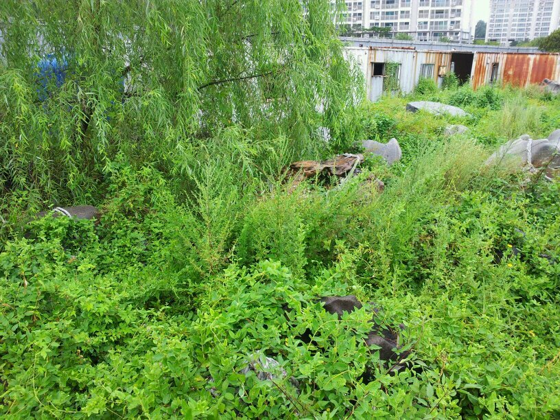 花間一壺酒 (화간일호주) 꽃 새에 놓인 술 한 동이 獨酌無相親 (독작무상친) 따라주는 친구도 없이 홀로 마시노라 ~!