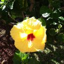 Heidi Bruce - @heidibruce24 - Twitter