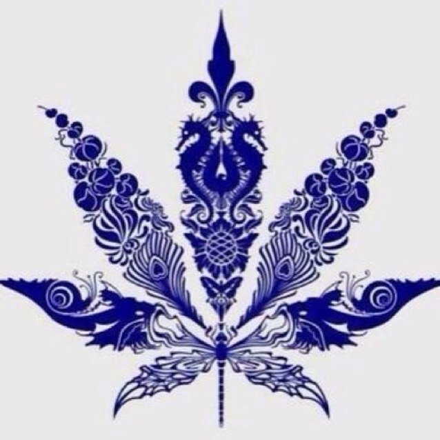 highthoughtswvu's profile picture. High