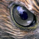 JACK TEPPER - @TepperJack - Twitter