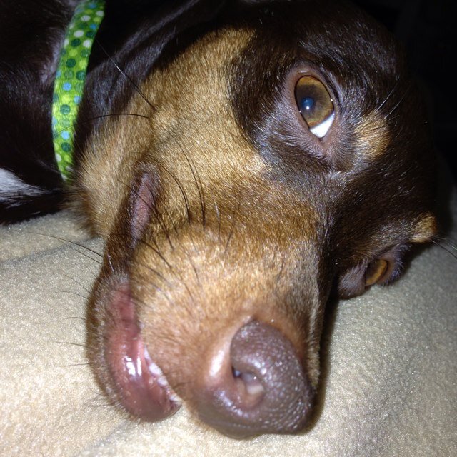 swanson21's profile picture. 