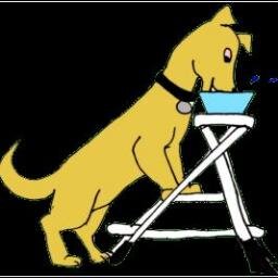 K9Megaesophagus's profile picture. Megaesophagus is a condition in which the esophagus muscles lose their tone and are not capable of propelling food into the stomach. LOVING Tribute to VIKING ❤