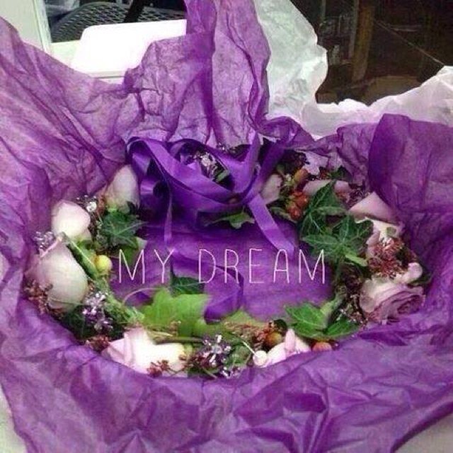 alexacast1's profile picture. 