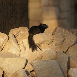 glendakellytx's profile picture. 