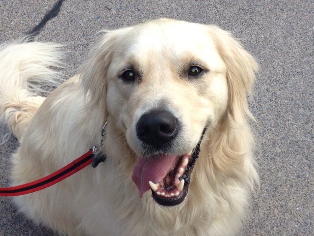 helen100200's profile picture. 