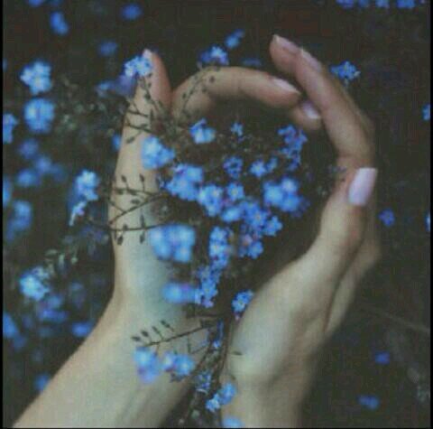 ‏‏‏الحساب ملغـي