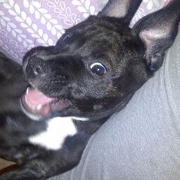 I'M @MercedesStreets PARTY PUPPY, FOLLOW ME FOR THE BEST PARTIES, CONCERTS & MUSIC INDUSTRY EVENTS AROUND THE COUNTRY!