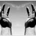 If you have an idea for the USA/China this is a place to network and gather information. Feel free t