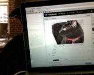 From USA (NY city),15 years old. #Directioner and #Belieber forever! 3