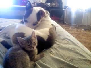 shelley_ihde's profile picture. Wife,Mom,Grandma,Manufactor victim,Cat lover, Awesome woman,great friend,.  Soon to be expert MATCHMAKER