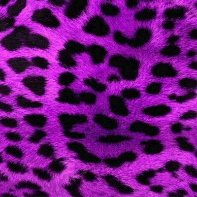 山下 美咲 旧 R1227r だらー 旦那 に言ったら それ 前かってた猫の名前 白いから って言ってて やっぱ人間につけるような名前ぢゃないよなって思ったwwwよって多分美玲になる O 美玲って苛められるかね まだ決まってないし 旦那にも言ってない