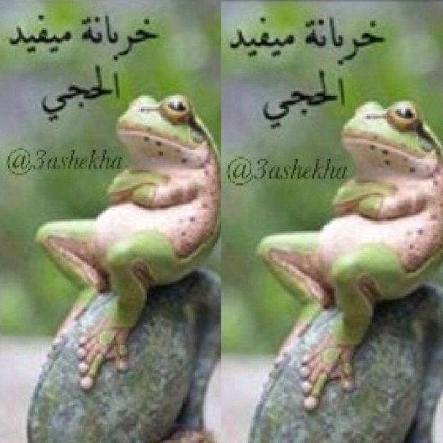 انا رجل ضاعت أحلامه ولا طاح !! // #نصيحة منّي ..~. عيش حياتك .. ... بكل حالاتك ، و خلّي النّاس .. ✍ آخر اهتماماتك !!