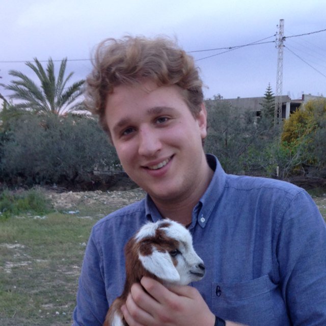 pollerto's profile picture. Problem Maker, Problem Solver