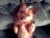 Th3 0NLY TH!NG D!FF3R3NT @B0UT M3 !$ TH@T !M N0T YOU!!! ╔══╗*´”) ║██║ ¸.•´¸.