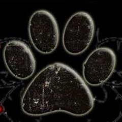 NoToDogFighting's profile picture. To educate the public on dog theft and dog fighting rings nation wide-a voice for the voiceless, united we aim to eradicate the dog fighting game..