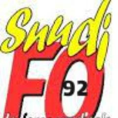 SNUDIFO92's profile picture. Syndicat National Unifié des Directeurs, Instituteurs et Professeurs des Ecoles - Section des Hauts-de-Seine