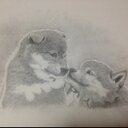 川野 鉄平 (@1014Iron) Twitter