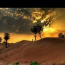 @0129000 (@01290009) Twitter