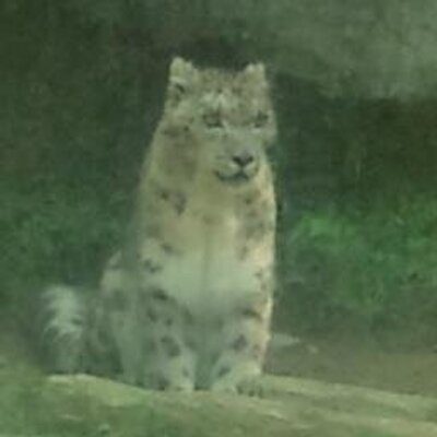 アカサタ 格ゲーの 濁る という言葉の意味がよく分からないのですが 苛々する という意味で合ってるのでしょうか 私は格ゲー用語に詳しくないので何ともわからんです アカサタ 格ゲーの 濁る という言葉の意味がよく分からないのですが 苛々する という意味で合ってるのでしょうか 私は格ゲー用語に詳しくないので何ともわからんです