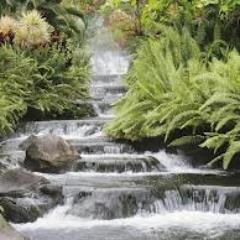 AbuDharrGhifari's profile picture. Simple