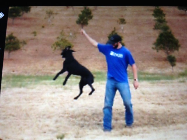 PowersEthan's profile picture. 