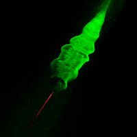 BioPhotonics UniGe (@biophotonicsuni) 's Twitter Profile