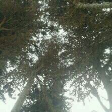 mrinkriz1's profile picture. 