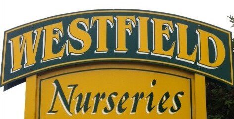 Family run garden centre offering quality, value and excellent customer service. Westfield Nurseries Station Road Whittlesey Peterborough PE7 2EX 01733 206688