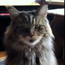 Ernestine Manning - @Ernie0716 - Twitter