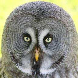 You can visit the Wolds Way Owl Trust at the South Cave Falconry Centre. Check our Facebook page for more info.