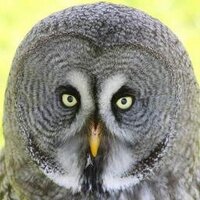 Wolds Way Owl Trust (@woldswayowl) 's Twitter Profile