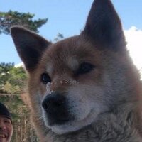 ふ・ふ (@ffujii4) 's Twitter Profile