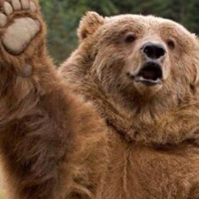 NorthernHazzard's profile picture. 