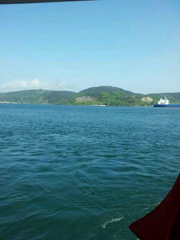 s1a2e3e4d591's profile picture. 