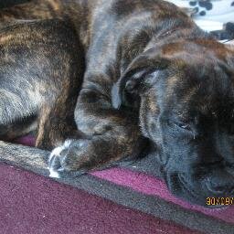 RuthScannell13's profile picture. 