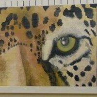 Garnet Valley MS (@garnetvalleyms) 's Twitter Profile