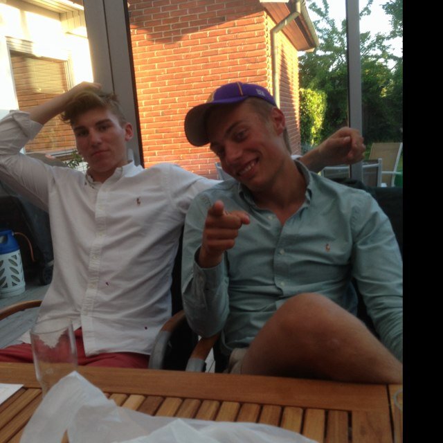 SWollheim's profile picture. You dog