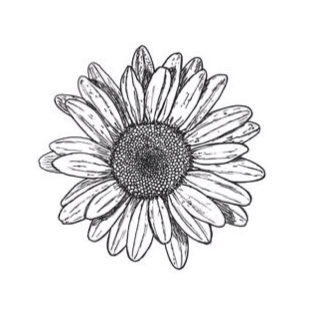 good_vibez_only's profile picture. 